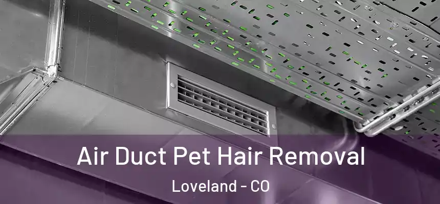  Air Duct Pet Hair Removal Loveland - CO