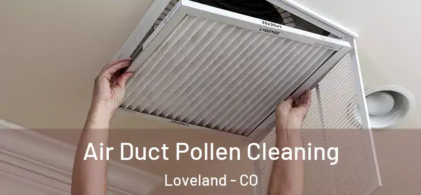  Air Duct Pollen Cleaning Loveland - CO