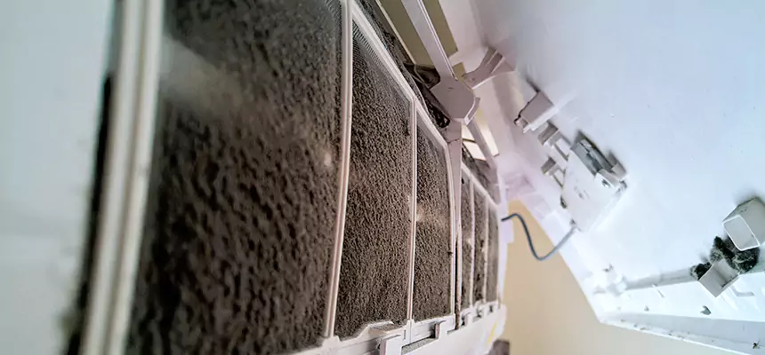 Preventive Air Duct Bacteria Removal in Loveland