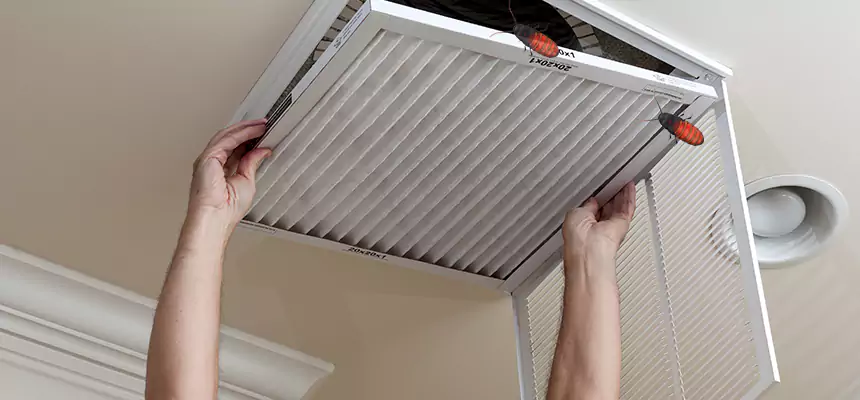 Preventive Cockroach-Proofing for Ducts in Loveland