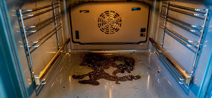 Our Dryer Vent Mold Cleaning Services in Loveland, CO