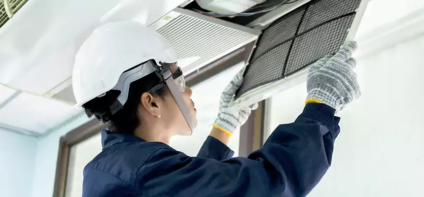 Our Mold & Mildew Removal from Air Ducts Services in Loveland, CO