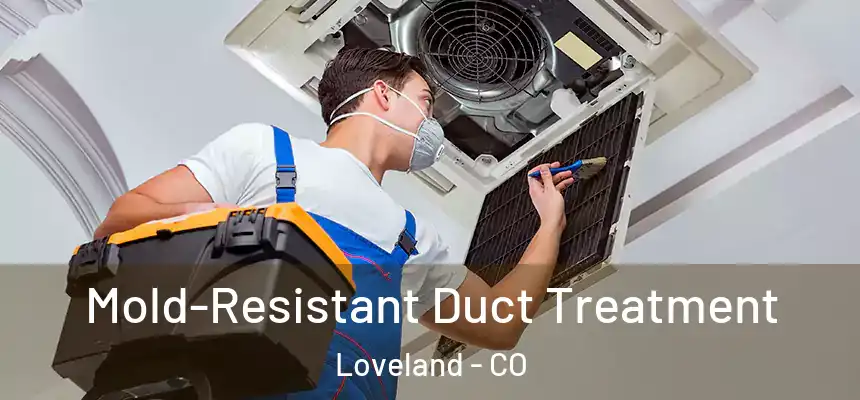  Mold-Resistant Duct Treatment Loveland - CO