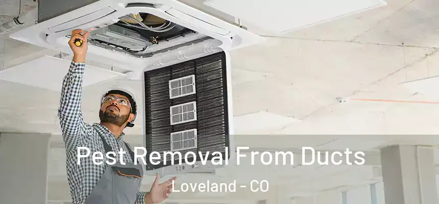  Pest Removal From Ducts Loveland - CO