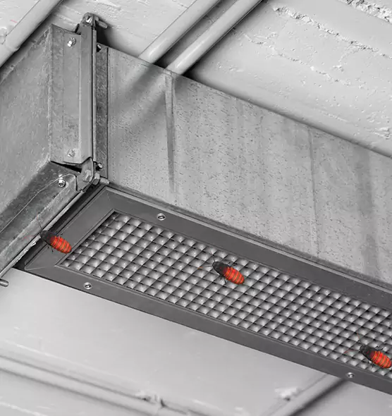 About Air Duct Cockroach Removal in Loveland, CO