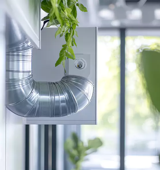 Professional Eco-Safe Dryer Vent Cleaning in Loveland, CO