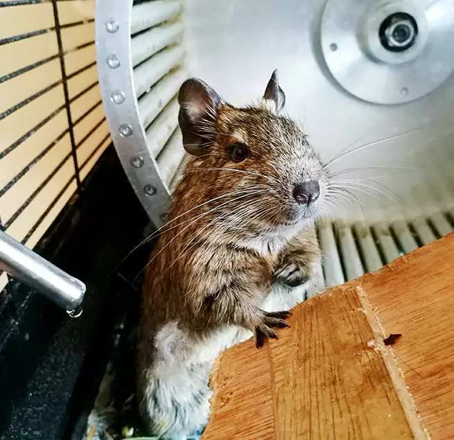 Why Homeowners & Businesses Trust Us Loveland, CO?