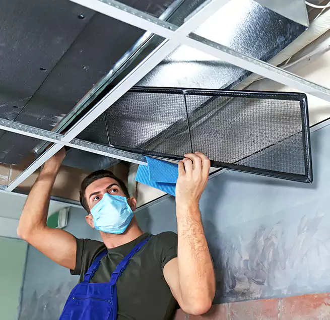 Why Homeowners Businesses Trust Us in Loveland, CO