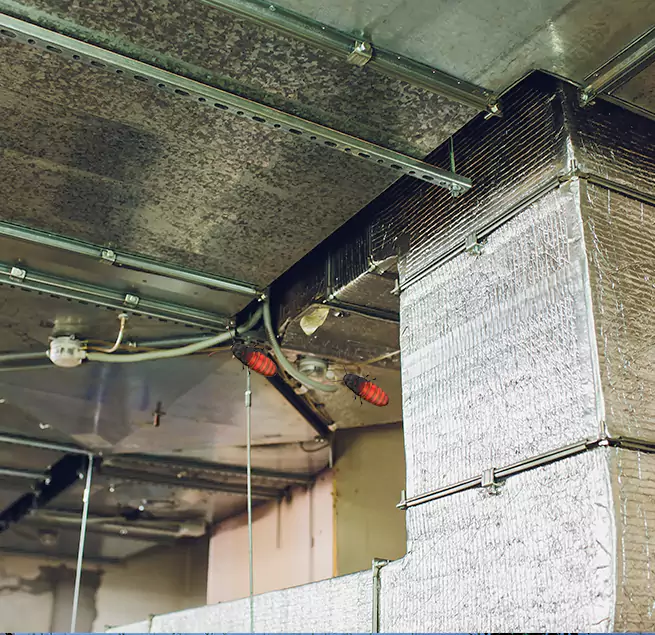 Why Homeowners & Businesses Trust Us Loveland, CO?